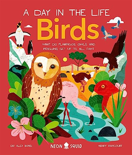Neon Squid - Birds (A Day in the Life) What Do Flamingos, Owls, and