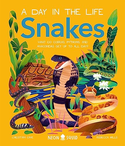Neon Squid - Snakes (A Day in the Life) : What Do Cobras, Pythons, and