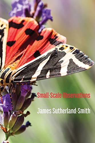 Sutherland-Smit - Small-Scale Observations - New paperback or softback