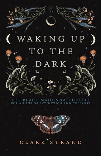 Perdita Finn - Waking Up to the Dark The Black Madonna's Gospel