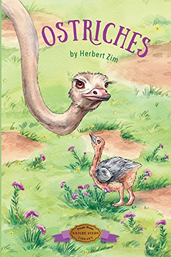 Zim - Ostriches - New paperback or softback