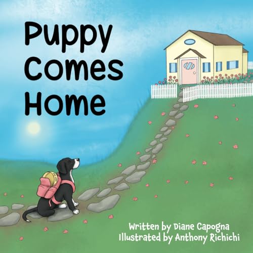 Richichi - Puppy Comes Home - New paperback or softback