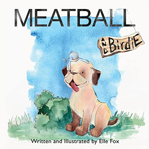 Fox - Meatball and Birdie - New paperback or softback