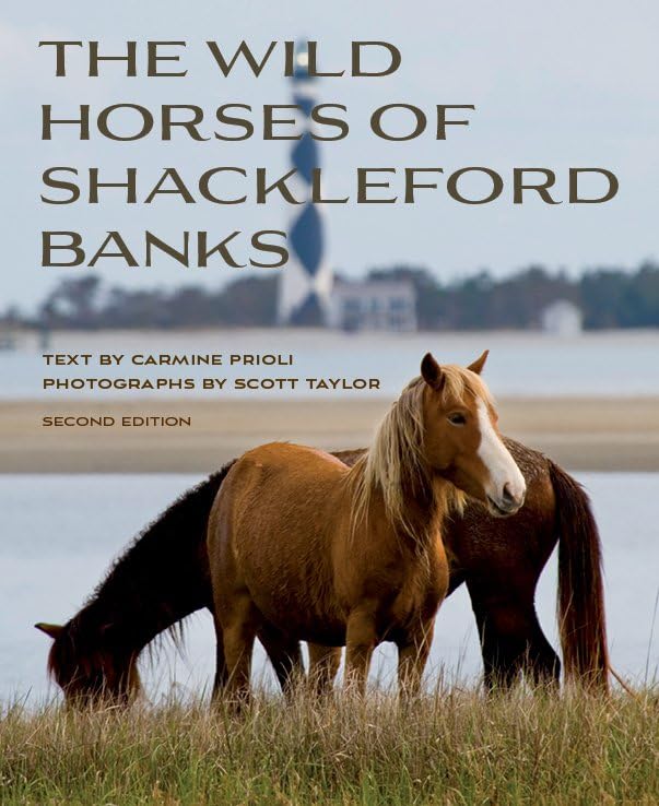 Prioli - Wild Horses of Shackleford Banks - New paperback or softback