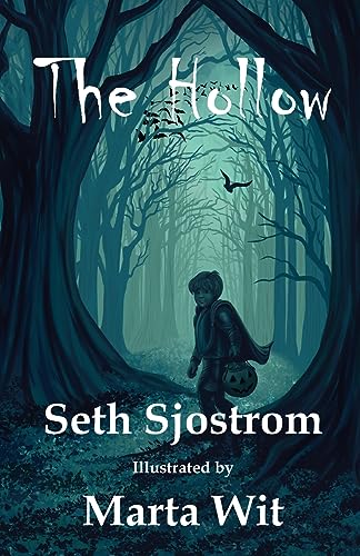 Sjostrom - Hollow - New paperback or softback