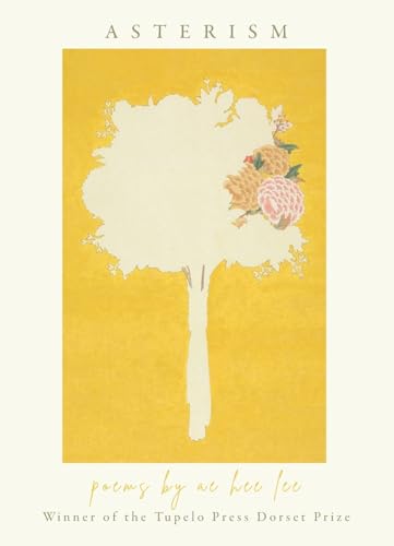 Ae Hee Lee - Asterism - New Paperback