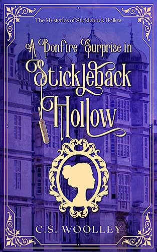 Woolley - A Bonfire Surprise in Stickleback Hollow - New paperback or