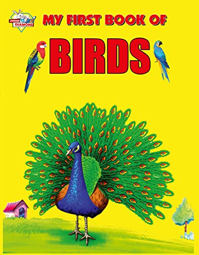 Verma - My First Book of Birds - New paperback or softback