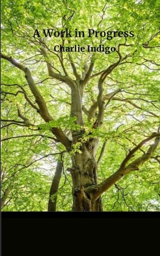 Indigo - A Work in Progress... - New paperback or softback