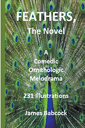 Babcock - Feathers, the Novel - New paperback or softback