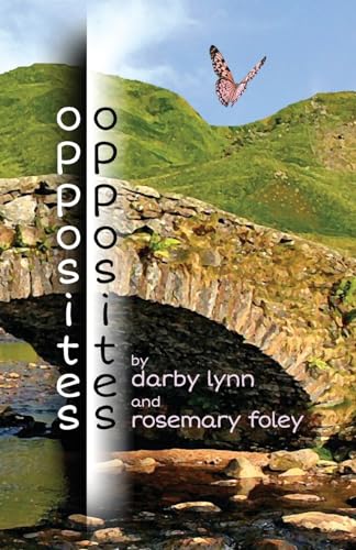 Foley - opposites - New paperback or softback