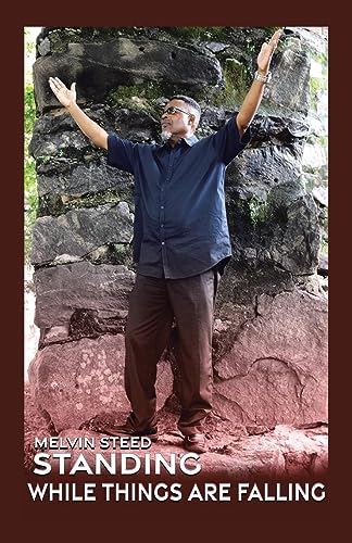 Steed - Standing While Things Are Falling - New paperback or softback