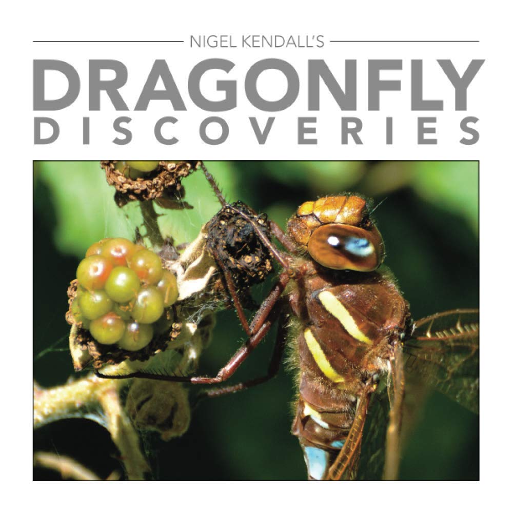 Kendall - Dragonfly Discoveries - New paperback or softback