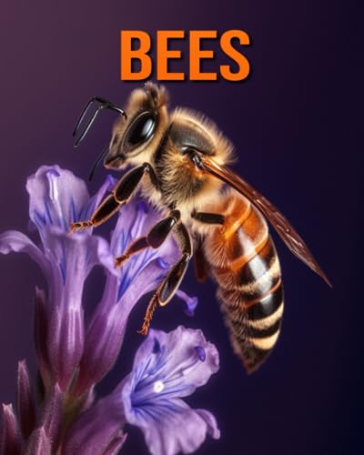 Hession - Bees Amazing Photos and Fun Facts Book for kids - New pape