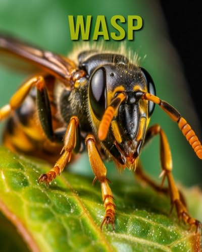 Horton - Wasp Fun and Educational Book for Kids with Amazing Facts an