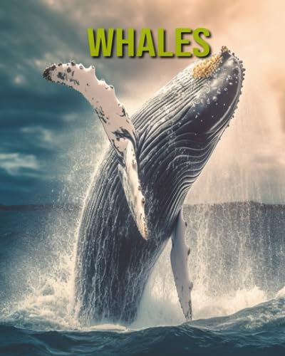 Horton - Whales Fun and Educational Book for Kids with Amazing Facts