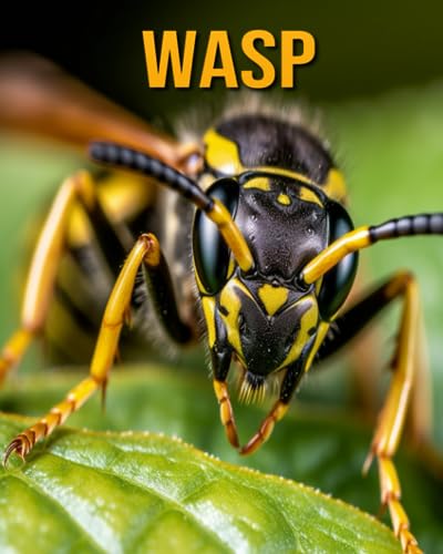 Oberski - Wasp Fun Facts Book for Kids - New paperback or softback