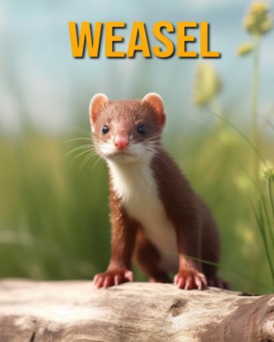 Oberski - Weasel Fun Facts Book for Kids - New paperback or softback