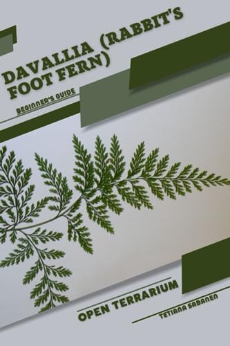Sabanen - Davallia (Rabbit's Foot Fern) Open terrarium, Beginner's Gu