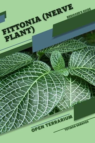 Sabanen - Fittonia (Nerve Plant) Open terrarium, Beginner's Guide - N