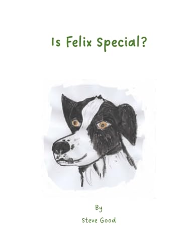 Good - Is Felix Special? - New paperback or softback
