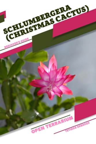 Sabanen - Schlumbergera (Christmas Cactus) Open terrarium, Beginner's