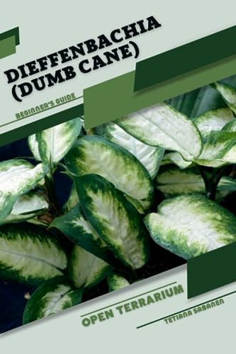 Sabanen - Dieffenbachia (Dumb Cane) Open terrarium, Beginner's Guide