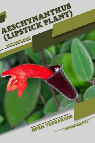 Sabanen - Aeschynanthus (Lipstick Plant) Open terrarium, Beginner's