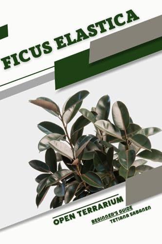 Sabanen - Ficus elastica Open terrarium, Beginner's Guide - New paper