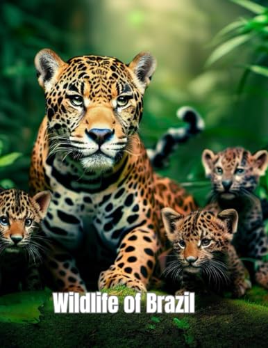 Arts - Wildlife of Brazil coloring book - New paperback or softback