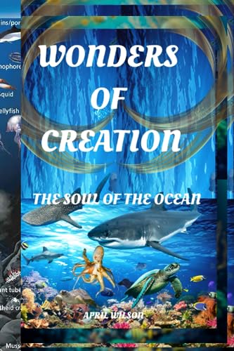 WILSON - WONDERS OF CREATION THE SOUL OF THE OCEAN - New paperback or