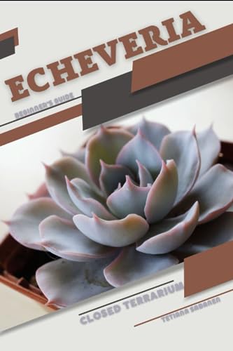 Sabanen - Echeveria: Closed terrarium, Beginner's Guide - New paperbac