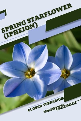 Sabanen - Spring Starflower (Ipheion) Closed terrarium, Beginner's Gu