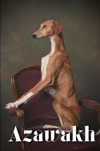 Pustova - Azawakh How to train your dog and raise from puppy correctl