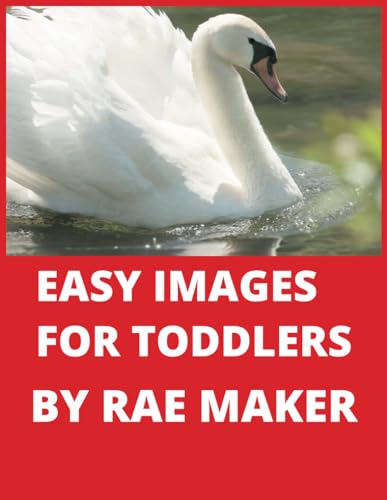 Ferguson - EASY IMAGES FOR TODDLERS - New paperback or softback