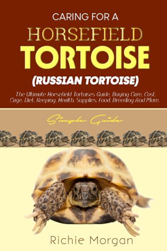Morgan - CARING FOR A HORSFIELD TORTOISE (RUSSIAN TORTOISE) Simple gui