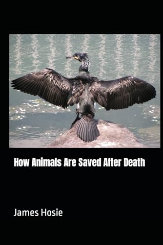Hosi - How Animals Are Saved After Death - New paperback or softback