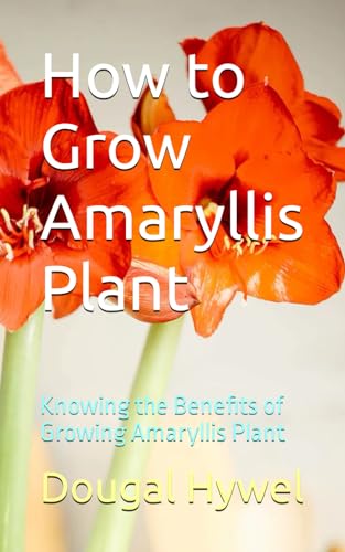 Hywel - How to Grow Amaryllis Plant Knowing the Benefits of Growing A