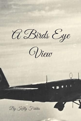 Fiddes - A Birds Eye View - New paperback or softback