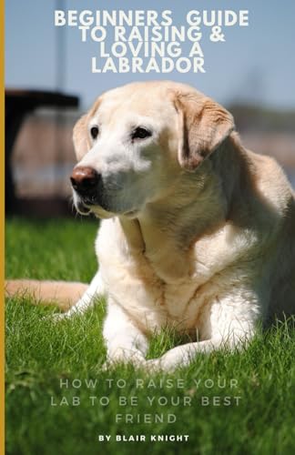 Knight - beginners guide To Raising & Loving A Labrador How to Raise