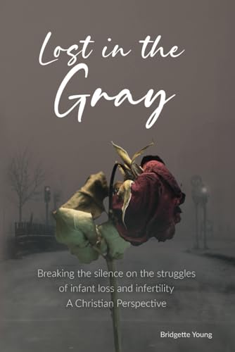 Schmidt - Lost in the Gray: Breaking the Silence on the Struggles of I
