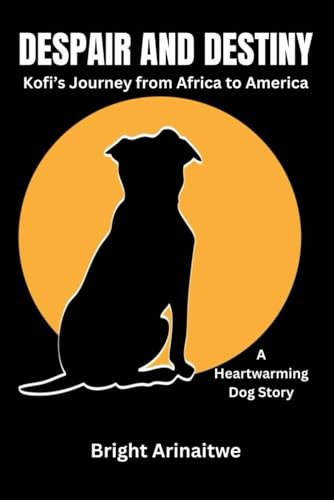Arinaitw - DESPAIR AND DESTINY: Kofi's Journey from Africa to America