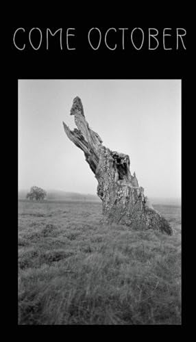 Ark - Come October - New paperback or softback