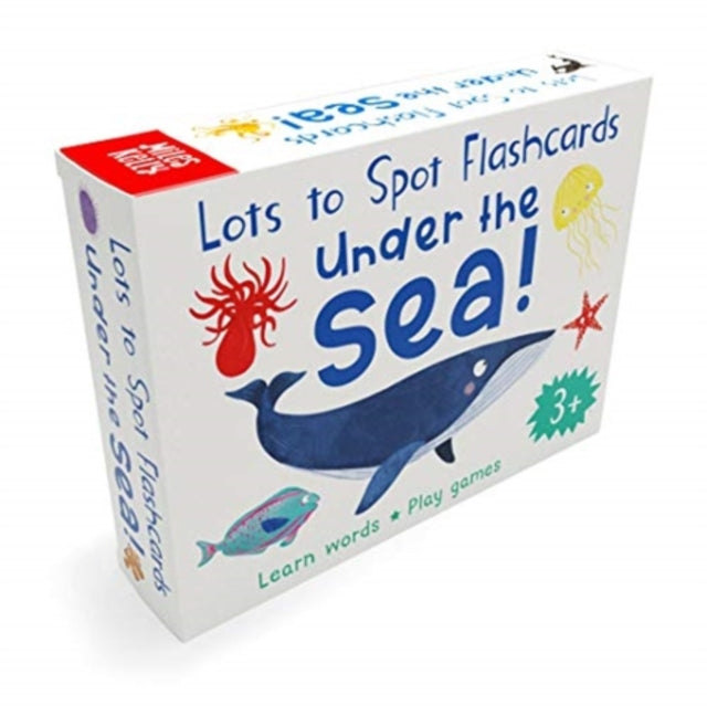 Becky Miles - Lots to Spot Flashcards: Under the Sea! - New Cards