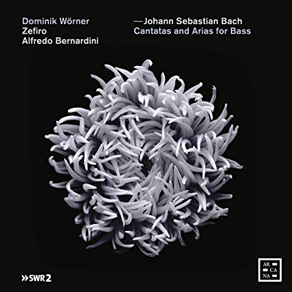 Dominik Worner - Johann Sebastian Bach: Cantatas and Arias for Bass - CD