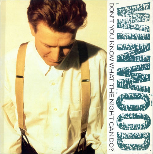 Steve Winwood - Don't You Know What The Night Can Do? - Used Vinyl Re