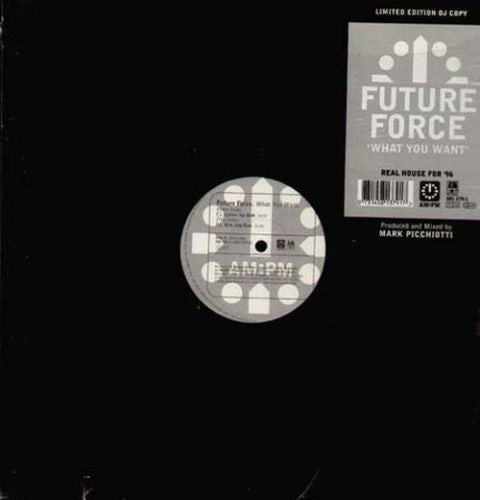 Future Force - What You Want - Used Vinyl Record 12"