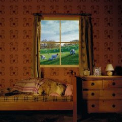 Umphrey's Mcgee - Safety In Numbers - Used CD