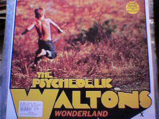 Psychedelic Waltons - Wonderland - Used Vinyl Record 12"