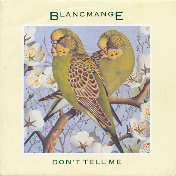 Blancmange - Don't Tell Me - Used Vinyl Record 7"